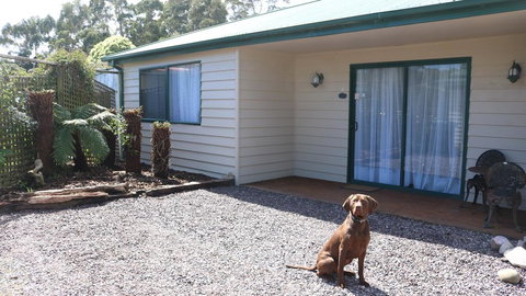 Meredith House & Apartments Strahan - Accommodation Port Macquarie 2