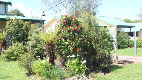 Meredith House & Apartments Strahan - Accommodation Port Macquarie 1