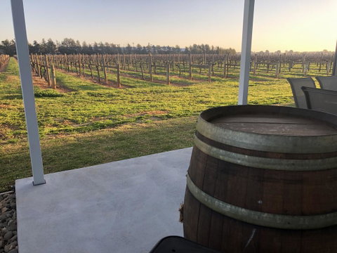 Milawa Vineyard Views - Guesthouse 1 - Accommodation Port Macquarie 2