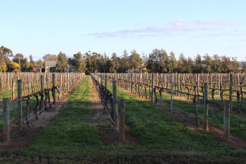 Milawa Vineyard Views - Guesthouse 1 - Accommodation Port Macquarie 1