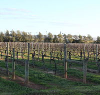 Milawa Vineyard Views - Guesthouse 2 - Accommodation Port Macquarie