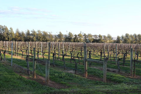 Milawa Vineyard Views - Guesthouse 2 - Accommodation Port Macquarie 0