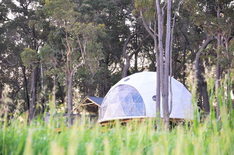 Mile End Glamping Pty Ltd - Accommodation Port Macquarie 2