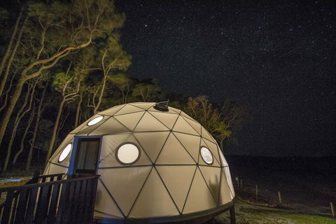 Mile End Glamping Pty Ltd - Accommodation Port Macquarie 3
