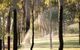 Mistover Valley Yallingup - thumb 1