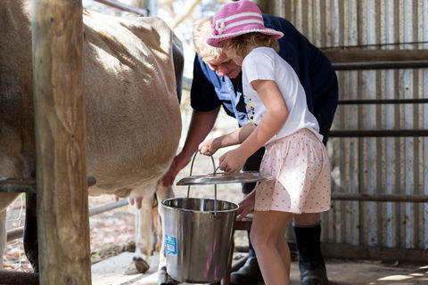 Misty Valley Country Cottages - Accommodation Port Macquarie 1