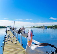 Moby Dick Waterfront Resort Motel - Accommodation Port Macquarie