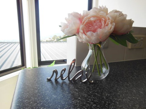 Modern Hobart Apartment With Stunning Views - Accommodation Port Macquarie 0