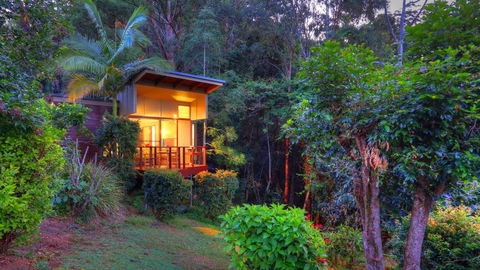 Montville Ocean View Cottages - Accommodation Port Macquarie 2