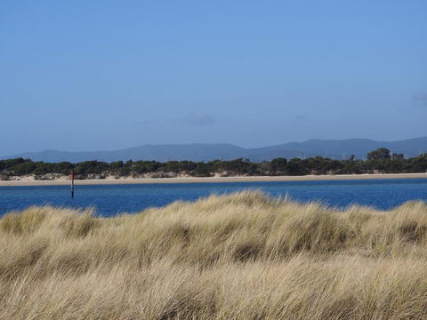 Moomba Holiday And Caravan Park - Accommodation Port Macquarie 1