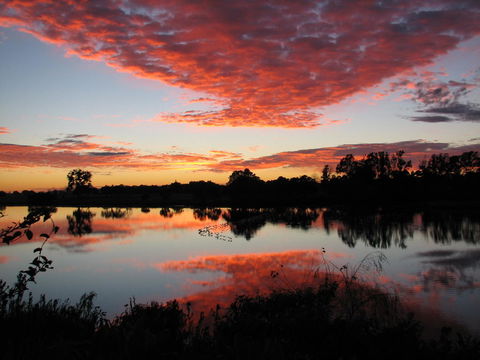 Moon River Motor Inn - Accommodation Port Macquarie 0