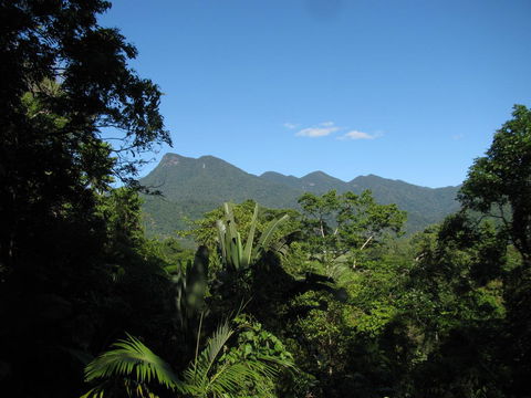 Mossman Gorge Bed And Breakfast - Accommodation Port Macquarie 0