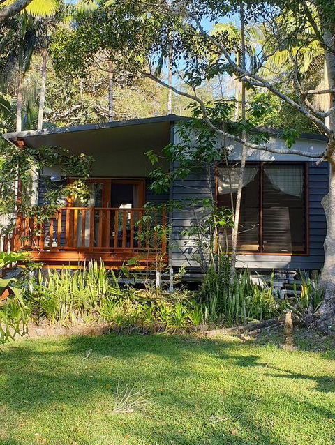 Mt Warning Rainforest Park - Accommodation Port Macquarie 3