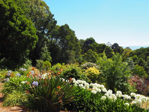 Murrindindi - Accommodation Port Macquarie 0