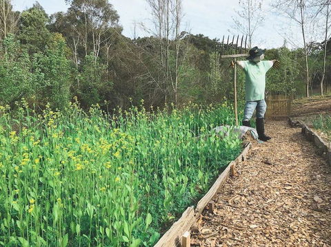 Mylor Farm, Adelaide Hills - Accommodation Port Macquarie 1