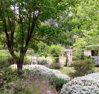 Naturescape - Accommodation Port Macquarie