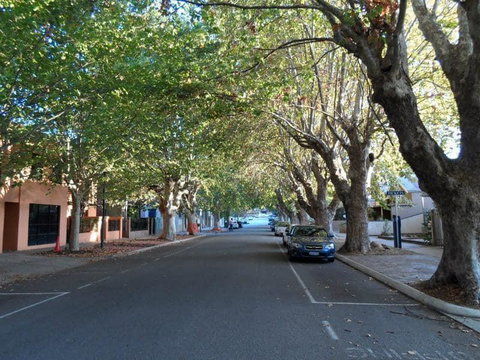 Backpack City & Surf - Accommodation Port Macquarie 4