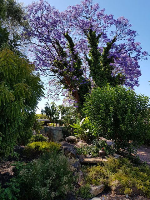 Jacaranda Hideaway Bed & Breakfast - Accommodation Port Macquarie 10