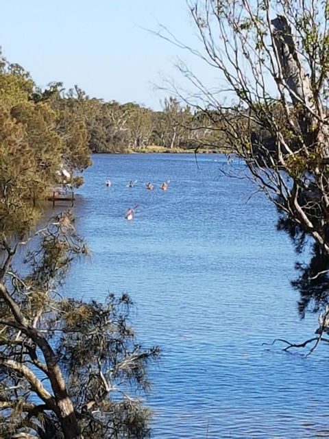 Jacaranda Hideaway Bed & Breakfast - Accommodation Port Macquarie 19