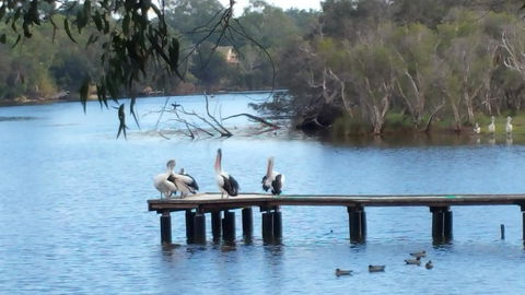 Jacaranda Hideaway Bed & Breakfast - Accommodation Port Macquarie 18