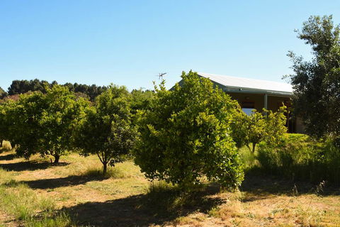 Swan Valley Sisters - Accommodation Port Macquarie 30