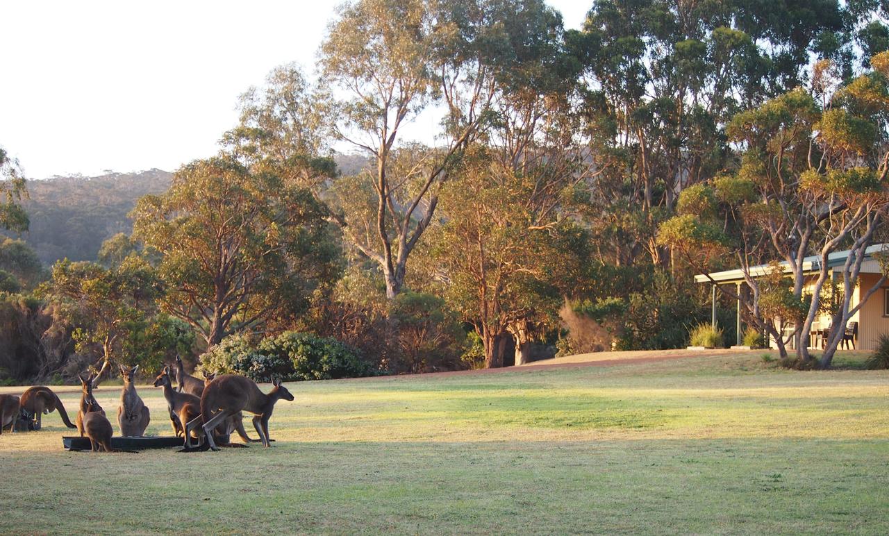  Accommodation Port Macquarie