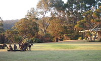 Book Walpole Accommodation Vacations Accommodation Port Macquarie Accommodation Port Macquarie