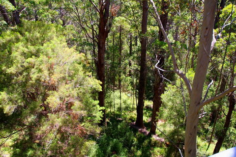 Bayside Villas - Accommodation Port Macquarie 5