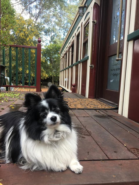 Quiet Escapes Cottages - Accommodation Port Macquarie 15