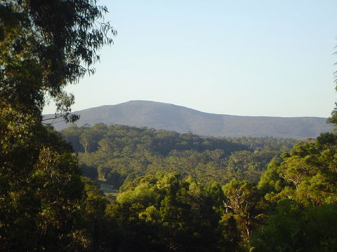 Kangaroo Valley Cottage - Accommodation Port Macquarie 19