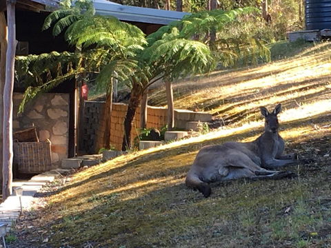 Kangaroo Valley Cottage - Accommodation Port Macquarie 3