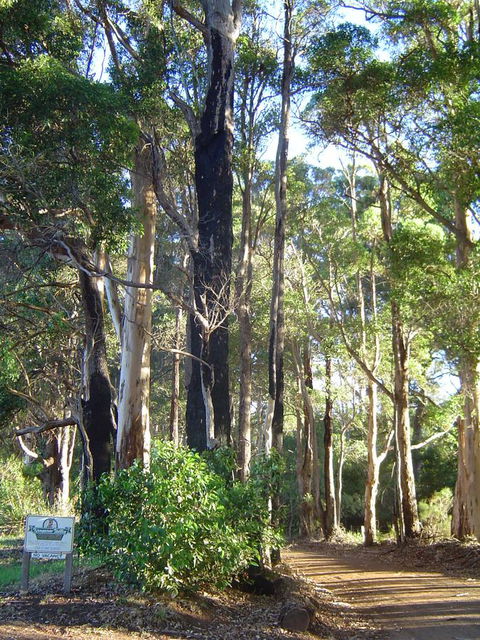 Kangaroo Valley Cottage - Accommodation Port Macquarie 21