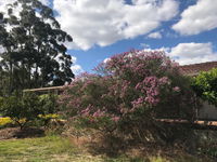 Book Cockburn Central Accommodation Vacations Accommodation Port Macquarie Accommodation Port Macquarie