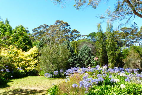Innisfree Mountain Retreat - Accommodation Port Macquarie 1