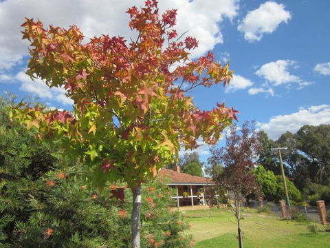 Bridgetown Valley Lodge - Accommodation Port Macquarie 40