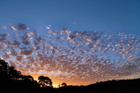 Bridgetown Valley Lodge - Accommodation Port Macquarie 6