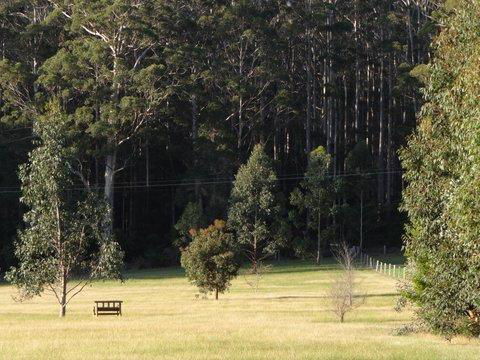 Big Brook Retreat - Accommodation Port Macquarie 5