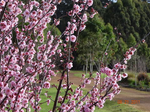 Big Brook Retreat - Accommodation Port Macquarie 9