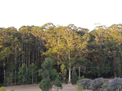 Big Brook Retreat - Accommodation Port Macquarie 11