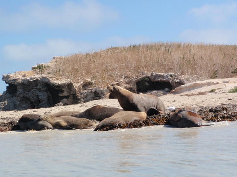 Island View Villas - Accommodation Port Macquarie 14