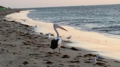 Island View Villas - Accommodation Port Macquarie 17