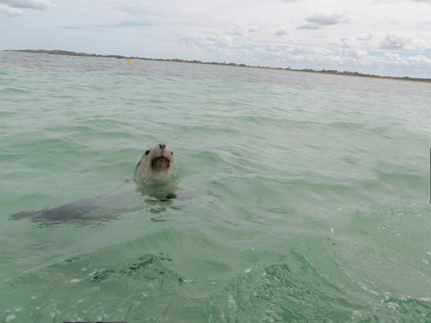 Island View Villas - Accommodation Port Macquarie 13