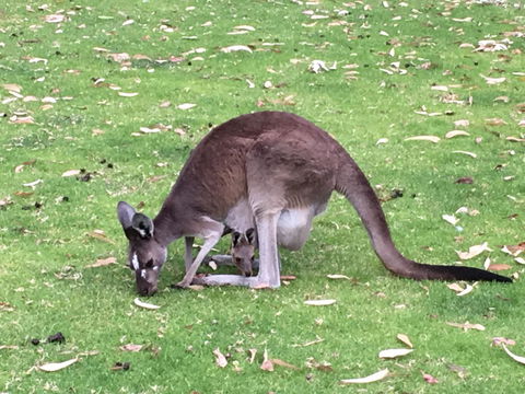 Tegwan's Nest Holiday Home - Accommodation Port Macquarie 1