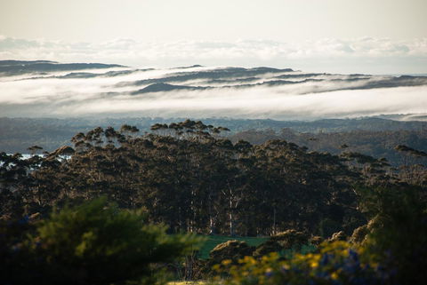 Celestine Retreat - Accommodation Port Macquarie 13