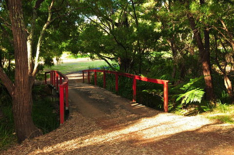 Waterfall Cottages - Accommodation Port Macquarie 17