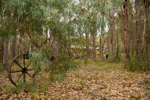 Denmark Forest Retreat - Accommodation Port Macquarie 5