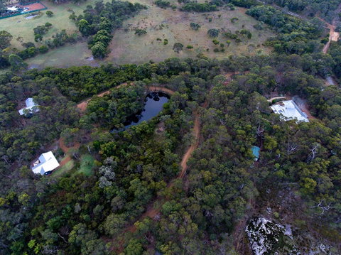 Denmark Forest Retreat - Accommodation Port Macquarie 1
