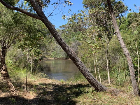 Denmark Forest Retreat - Accommodation Port Macquarie 32
