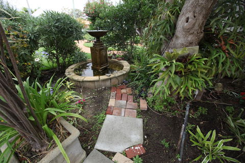Jacaranda Guest House - Accommodation Port Macquarie 32