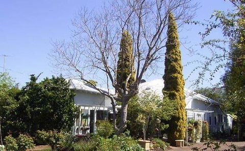 Jacaranda Guest House - Accommodation Port Macquarie 37